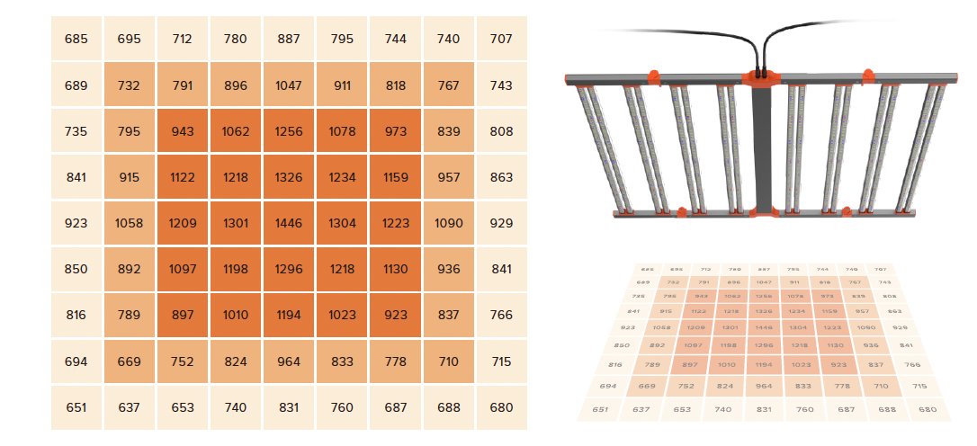 GL82 PPFD map for 4 by 4 foot coverage at 12 inch mounting height